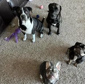 Meet your Posher, Bridgit